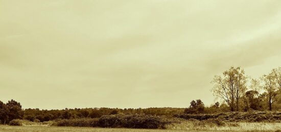 Terrain à bâtir à Reignac, Nouvelle-Aquitaine