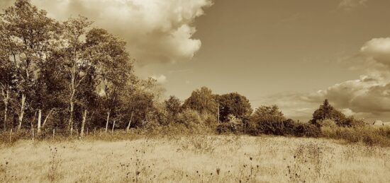 Terrain à bâtir à Saint-Genès-de-Fronsac, Nouvelle-Aquitaine