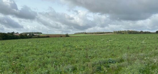 Terrain à bâtir à Maizières-lès-Metz, Grand Est