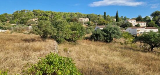 Terrain à bâtir à Lorgues, Provence-Alpes-Côte d'Azur