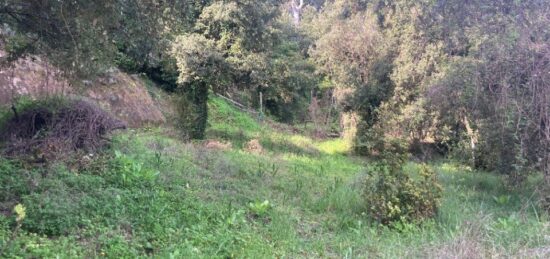 Terrain à bâtir à Seillons-Source-d'Argens, Provence-Alpes-Côte d'Azur