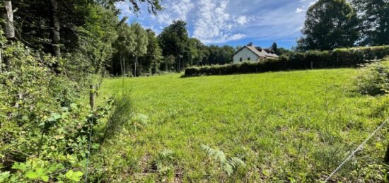 Terrain à bâtir à Roannes-Saint-Mary, Auvergne-Rhône-Alpes