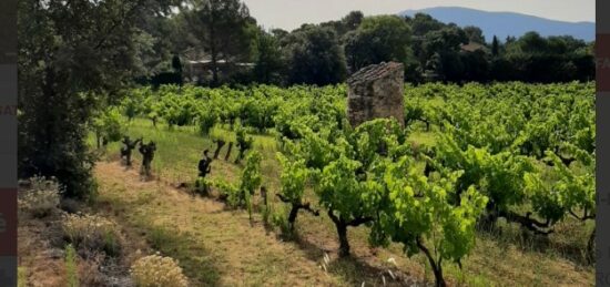 Terrain à bâtir à Vaison-la-Romaine, Provence-Alpes-Côte d'Azur