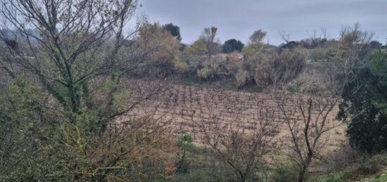 Terrain à bâtir à Bédarrides, Provence-Alpes-Côte d'Azur