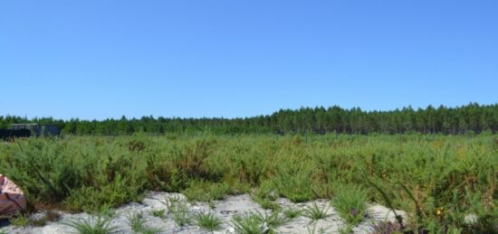 Terrain à bâtir à Mios, Nouvelle-Aquitaine