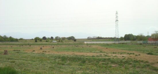 Terrain à bâtir à Perpignan, Occitanie