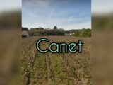 Maison à construire à Canet (34800) 1934124-3243annonce1202311093tSLi.jpeg Maisons France Confort