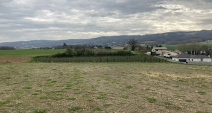 Anneyron Terrain à bâtir - 1934369-6150annonce120240428Z4M7L.jpeg Maisons France Confort