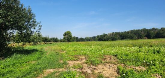 Terrain à bâtir à Friesen, Grand Est