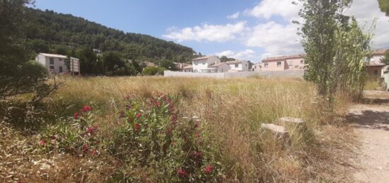 Terrain à bâtir à Cuers, Provence-Alpes-Côte d'Azur