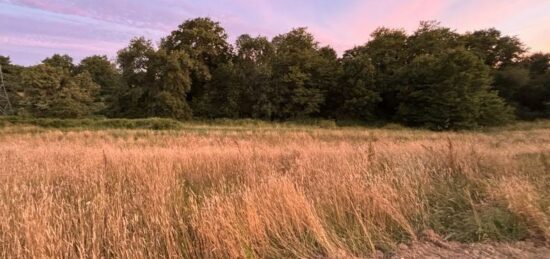 Terrain à bâtir à La Roche-sur-Yon, Pays de la Loire