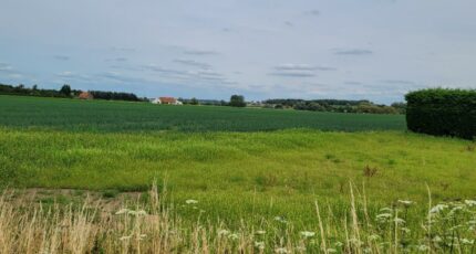 Steenvoorde Terrain à bâtir - 1919272-1587annonce120240801v3em7.jpeg Maisons France Confort