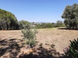 Terrain à bâtir à Roquebrune-sur-Argens (83520) 1902163-10295annonce120240711oLMTW.jpeg Maisons France Confort