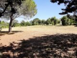 Terrain à bâtir à Roquebrune-sur-Argens (83520) 1902163-10295annonce220240711VyusU.jpeg Maisons France Confort