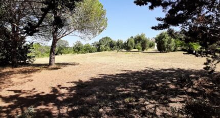 Roquebrune-sur-Argens Terrain à bâtir - 1902191-10295annonce320240711TgKfG.jpeg Maisons France Confort