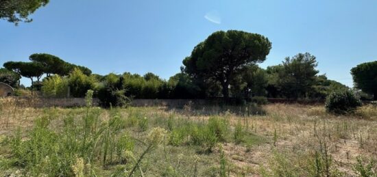 Terrain à bâtir à Puget-sur-Argens, Provence-Alpes-Côte d'Azur