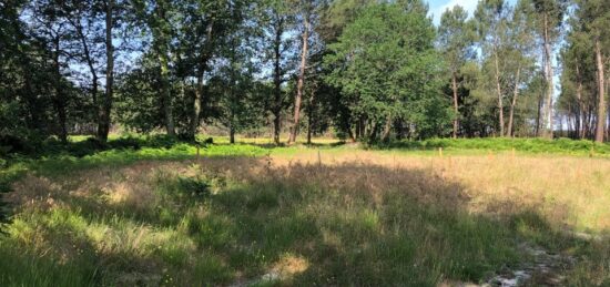 Terrain à bâtir à Mios, Nouvelle-Aquitaine