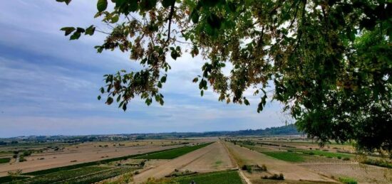 Terrain à bâtir à Montady, Occitanie