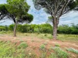 Maison à construire à Puget-sur-Argens (83480) 1952930-3701annonce220240919TzpWu.jpeg Maisons France Confort