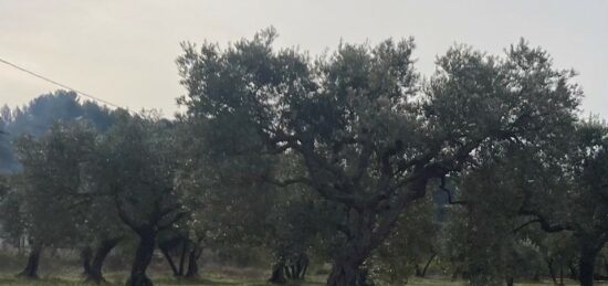 Terrain à bâtir à Tavernes, Provence-Alpes-Côte d'Azur