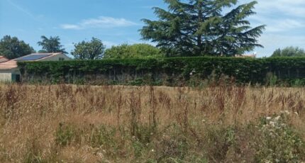 La Copechagnière Terrain à bâtir - 1920727-10941annonce1202408051ZGSt.jpeg Maisons France Confort