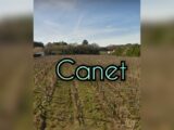 Maison à construire à Canet (34800) 1934128-3243annonce120240308HArdw.jpeg Maisons France Confort