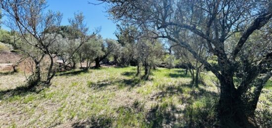 Terrain à bâtir à Lorgues, Provence-Alpes-Côte d'Azur