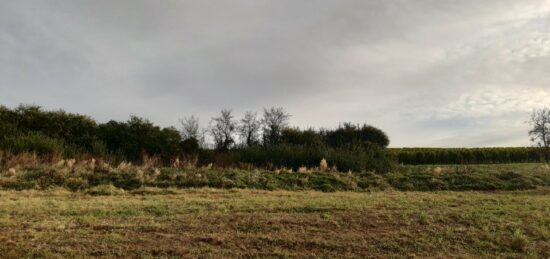 Terrain à bâtir à Oberhoffen-lès-Wissembourg, Grand Est