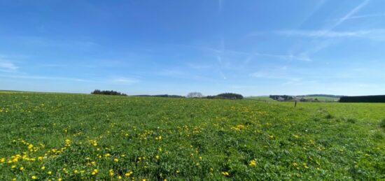 Terrain à bâtir à , Haute-Loire