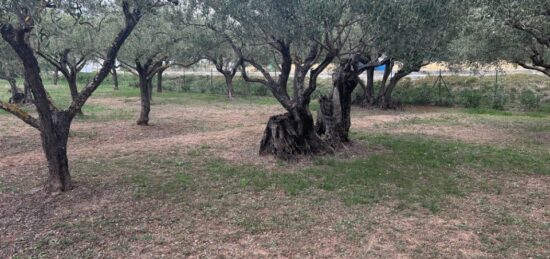 Terrain à bâtir à Lorgues, Provence-Alpes-Côte d'Azur