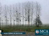 Maison à construire à Goos (40180) 1983477-5828annonce120241022XfXyK.jpeg Maisons France Confort