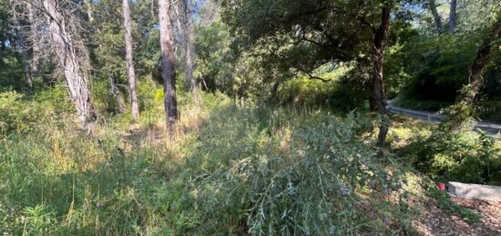 Terrain à bâtir à Lorgues, Provence-Alpes-Côte d'Azur