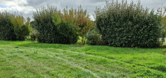 Terrain à bâtir à Candé, Pays de la Loire