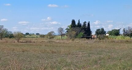 Marseillan Terrain à bâtir - 1954196-11040annonce120240920IlfLO.jpeg Maisons France Confort