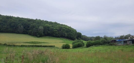 Terrain à bâtir à Lacapelle-Viescamp, Auvergne-Rhône-Alpes