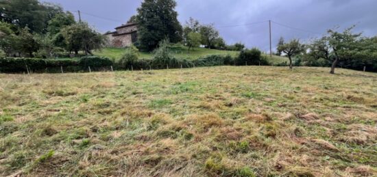 Terrain à bâtir à Boisset, Auvergne-Rhône-Alpes