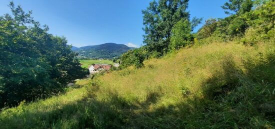 Terrain à bâtir à , Haut-Rhin