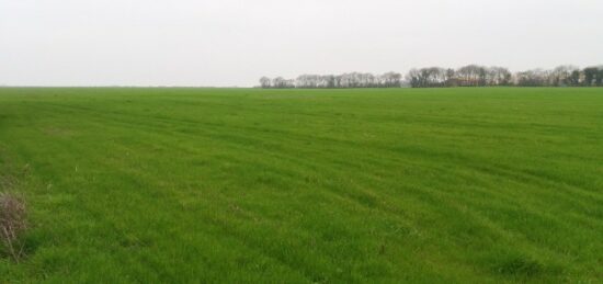 Terrain à bâtir à Surgères, Nouvelle-Aquitaine