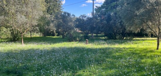 Terrain à bâtir à Draguignan, Provence-Alpes-Côte d'Azur