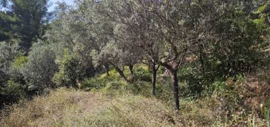 Terrain à bâtir à Bargemon, Provence-Alpes-Côte d'Azur