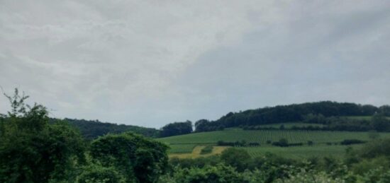 Terrain à bâtir à Obernai, Grand Est