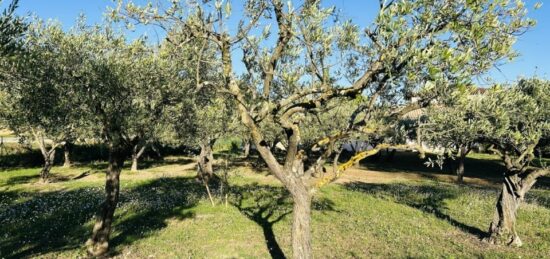 Terrain à bâtir à Lorgues, Provence-Alpes-Côte d'Azur