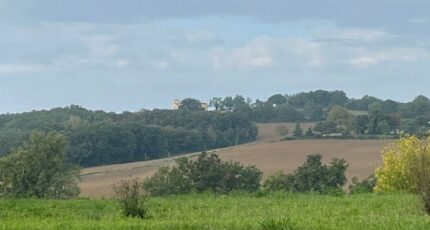 Gaillac Terrain à bâtir - 1981478-2684annonce3202410195vPhL.jpeg Maisons France Confort