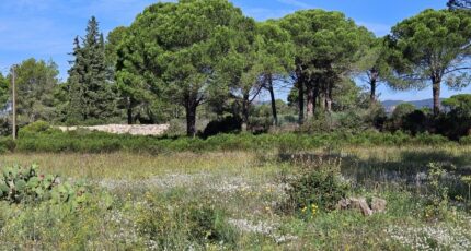 Puget-sur-Argens Terrain à bâtir - 1965497-5163annonce320241002v0kgU.jpeg Maisons France Confort