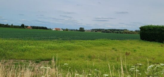 Terrain à bâtir à Steenvoorde, Hauts-de-France