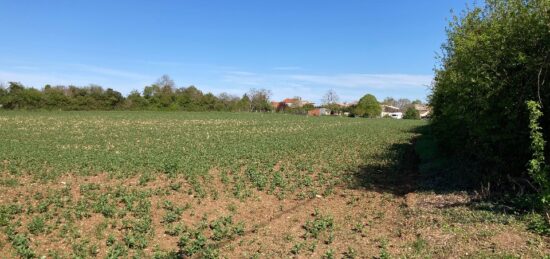 Terrain à bâtir à Champagnolles, Nouvelle-Aquitaine