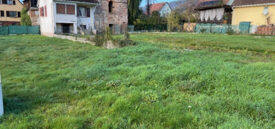 Terrain à bâtir à , Haut-Rhin