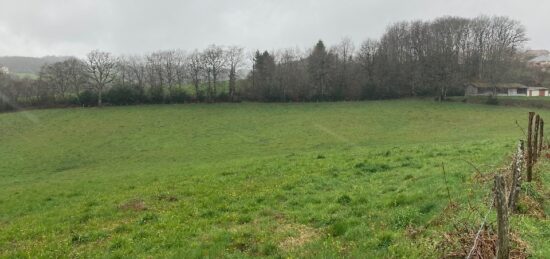 Terrain à bâtir à Lafeuillade-en-Vézie, Auvergne-Rhône-Alpes