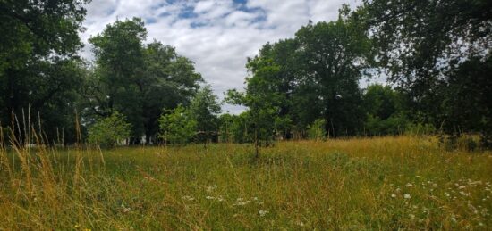 Terrain à bâtir à Léognan, Nouvelle-Aquitaine