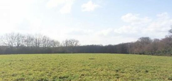 Terrain à bâtir à Beaumont-la-Ronce, Centre-Val de Loire